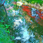 Poudre River Photo Art by TVS
