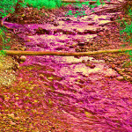 Poudre River Photo Art by TVS