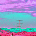 Poudre Trail West Photo Art by TVS