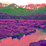 Roosevelt National Forest- Cirque Meadow Photo Art by TVS