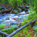 Roosevelt National Forest- South Fork of Poudre Photo Art by TVS