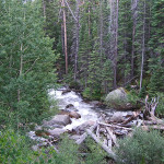Roosevelt National Forest- South Fork of Poudre 2011 by TVS