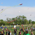 Kites in the Park 2012 by TVS